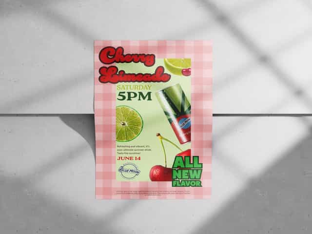 Seltzer Poster & Can Design